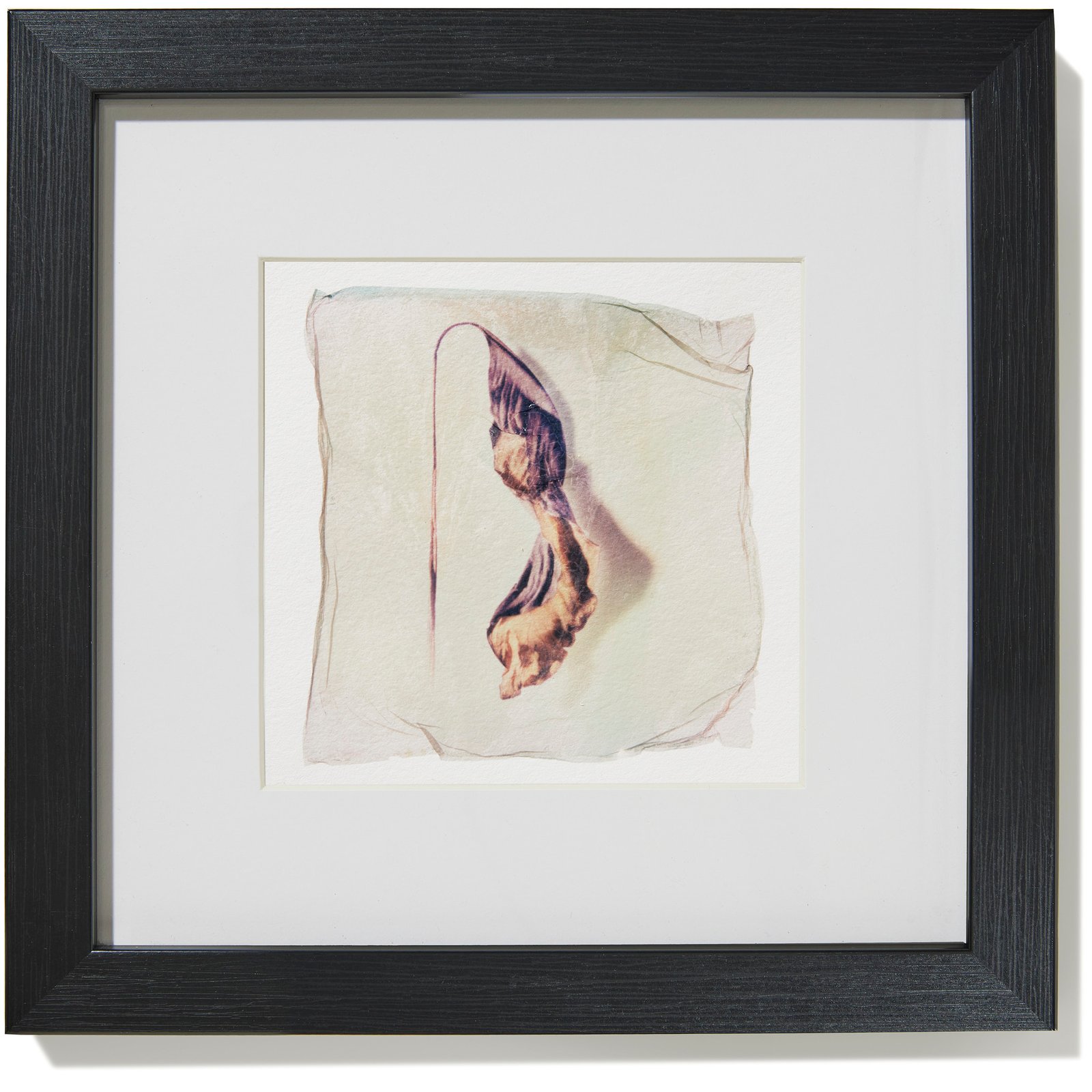 Dried leaf 01 - Image 2