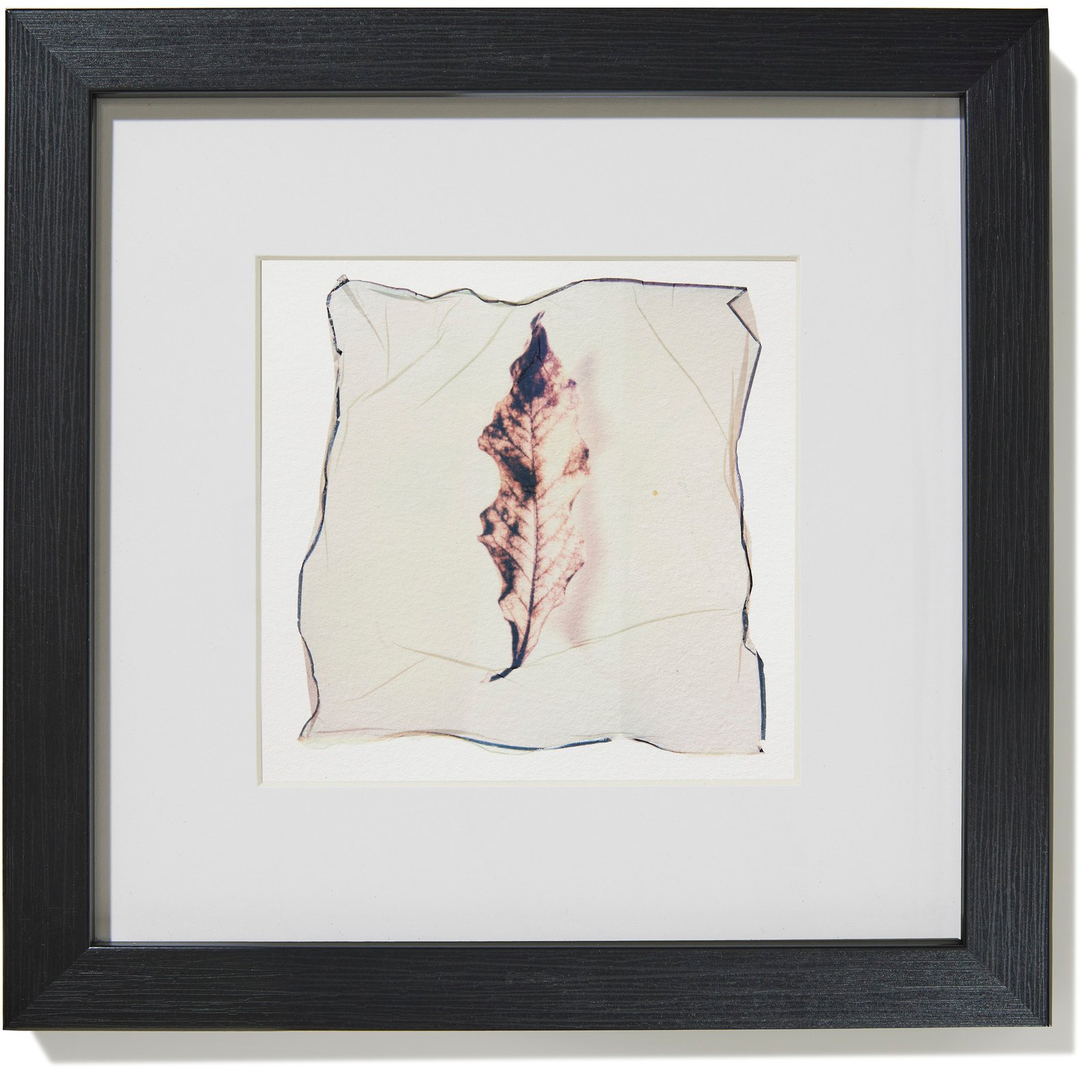 Dried leaf 02 - Image 2