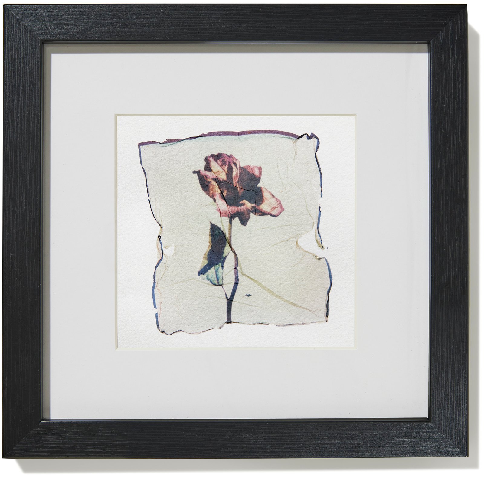 Dried Rose - Image 2