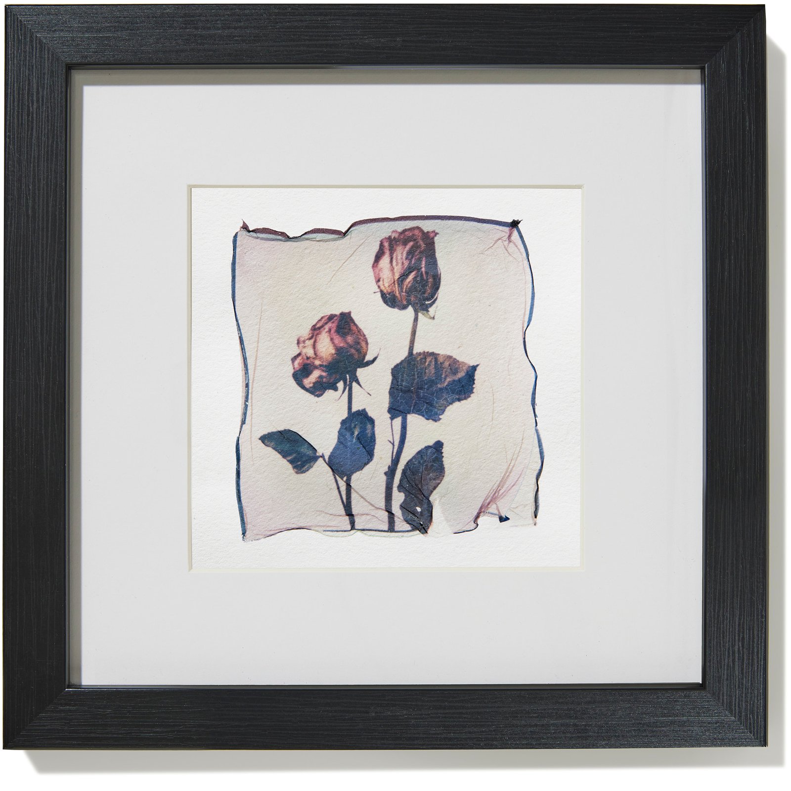 Dried Roses - Image 3
