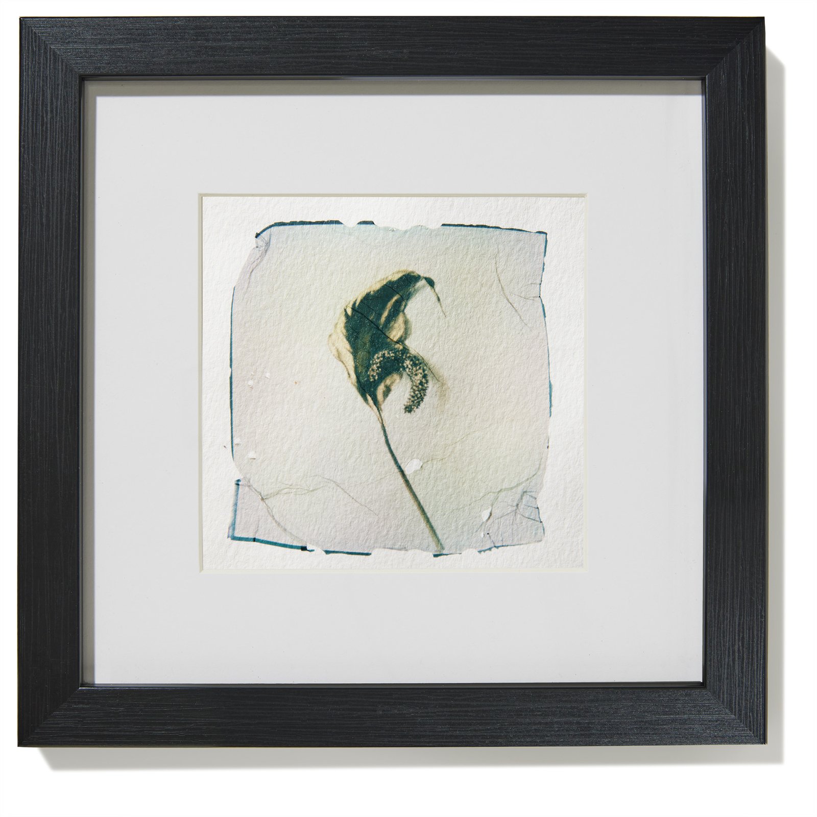 Dried Flower-On Watercolor Paper - Image 2