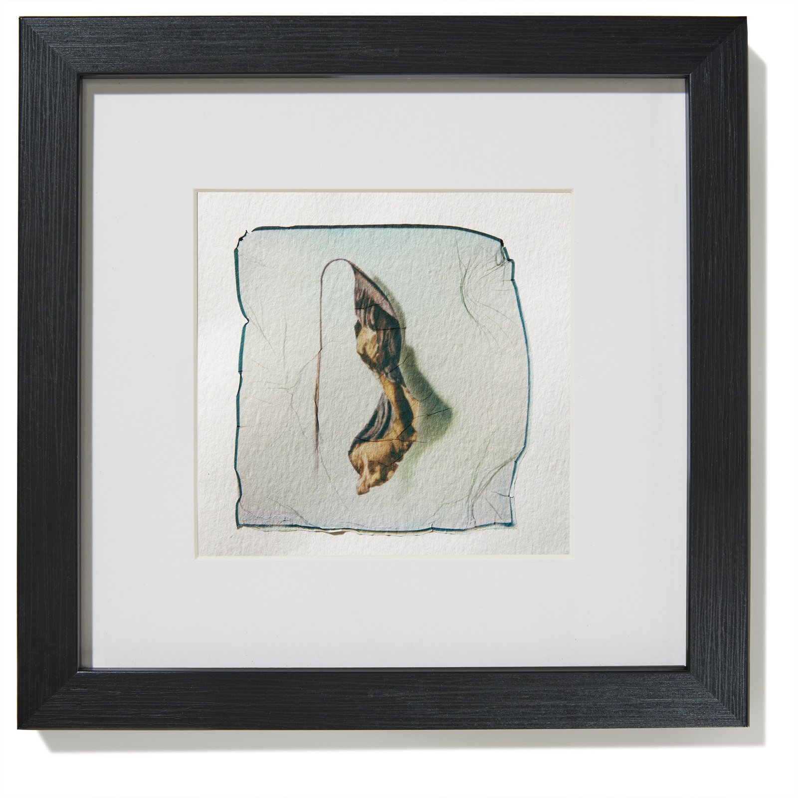 Dried leaf 01 On Watercolor paper - Image 3